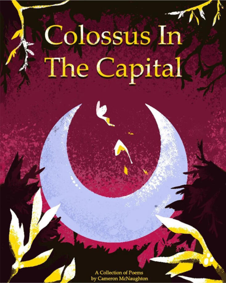 Book Cover Comission